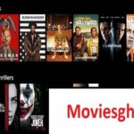 Best Hollywood Action Movies & Where to Watch Them – TheOmniBuzz