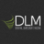 Review of Digital Limelight Media | Marketing Agency