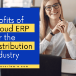 Get Real-Time Insights with ERP Distribution Software