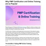 Why PMP Certification and Online Training are so Popular