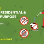 Termite pest control in Delhi