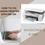 How to Fix Ij.Start.Cannon Printer Offline on Windows 10 & Mac