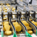 List Of Food Processing Machines & Equipment In UAE