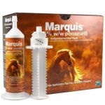 Marquis Paste for Horses