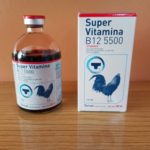 Super Vitamina B12 5500