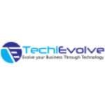 Review of Techievolve Inc. | Web Development Company