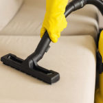 Professional Carpet Cleaning in North Reading MA