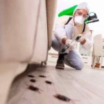 How a Digital Marketing Can Help Pest Control Businesses – Fyndyou