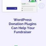 How WordPress Donation Plugins Can Help Your Fundraiser