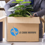 Fast Office Removalists in Adelaide, South Australia
