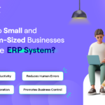 Why do Small and Medium sized Businesses Require ERP System?