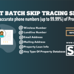 Smart Tracing-Batch Skip Tracing