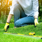 How Do Garden Landscapers and Designers Work Together