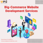 How To Choose The Top BigCommerce Website Development Agency
