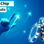 TOP BLUE CHIP STOCKS IN INDIA 2023