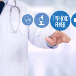 What are the different stages of typhoid fever?