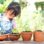 The importance of teaching your child to use eco-friendly products – Wimbledon Day Nursery