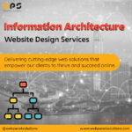 Optimize Your Website Design with a Professional Information Architecture Company