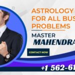 Best Astrologer in  North Carolina | Mahendran