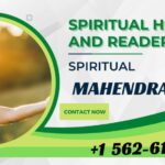 Best Astrologer in Washington | Mahendran