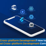 What is Cross-Platform Development & How to Choose the Best Company?