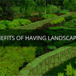 Benefits of Having Landscaping