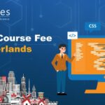 How Much is the Python Course Fee in Netherlands? -DataMites resource