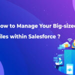 How to Manage Your Big-sized Files within Salesforce | XfilesPro