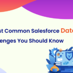 5 Most Common Salesforce Data Loss Challenges