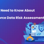All You Need to Know About Salesforce Data Risk Assessment