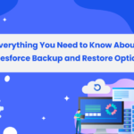 Salesforce Backup and Restore Options