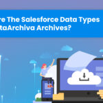 What Are The Salesforce Data Types That DataArchiva Archives