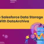 Reduce Salesforce Data Storage Costs With DataArchiva