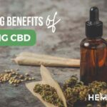 7 Surprising Benefits of Smoking CBD You’ll Want To Know – Hemp and Barrel