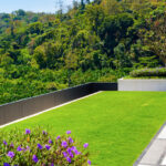 5 Simple Steps to Creating Your Own Green Roof Garden