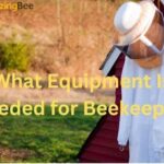 What Equipment Is Needed for Beekeeping | Beekeeping equipments
