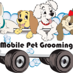 Pet Grooming Service Dubai | Expert Pet Groomers Dubai Near Me