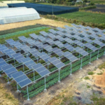 Invest in Solar Farms with JJ PV Solar to Save Costs and Increase Returns.