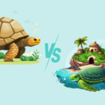 Turtle vs. Tortoise: The Ultimate Face-off of the Reptilian Realm