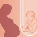 Test Tube Baby Cost in Gurgaon