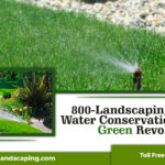 800-Landscaping Supports Water Conservation in Dubai’s Green Revolution