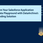 Transform Your Salesforce Application into a Data Playground with DataArchiva’s Data Seeding Solutions