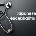 https://www.touchwoodpharmacy.com/exploring-causes-of-japanese-encephalitis-while-travelling-abroad/