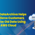 How DataArchiva Helps Salesforce Customers Archive Old Data Using Their AWS Cloud