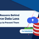 Common Reasons Behind Salesforce Data Loss and the Ways to Prevent Them