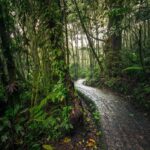 10 Reasons Why You Should Visit Arenal Volcano National Park in 2024