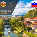 ISO Certification in Slovenia | Best ISO Consultant in Slovenia