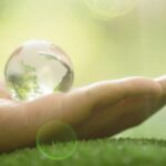 Leading the Green Charge: Digital Tools for Environmental Sustainability