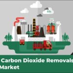 Carbon Dioxide Removals (CDR) Market: Future of Carbon Removal