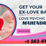 Best Indian Astrologer in Maryland | Mahendran